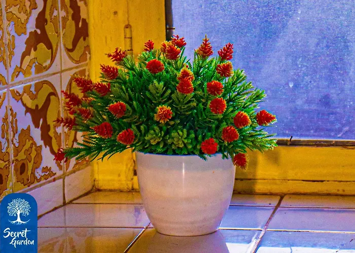 Secret Garden Hostal *